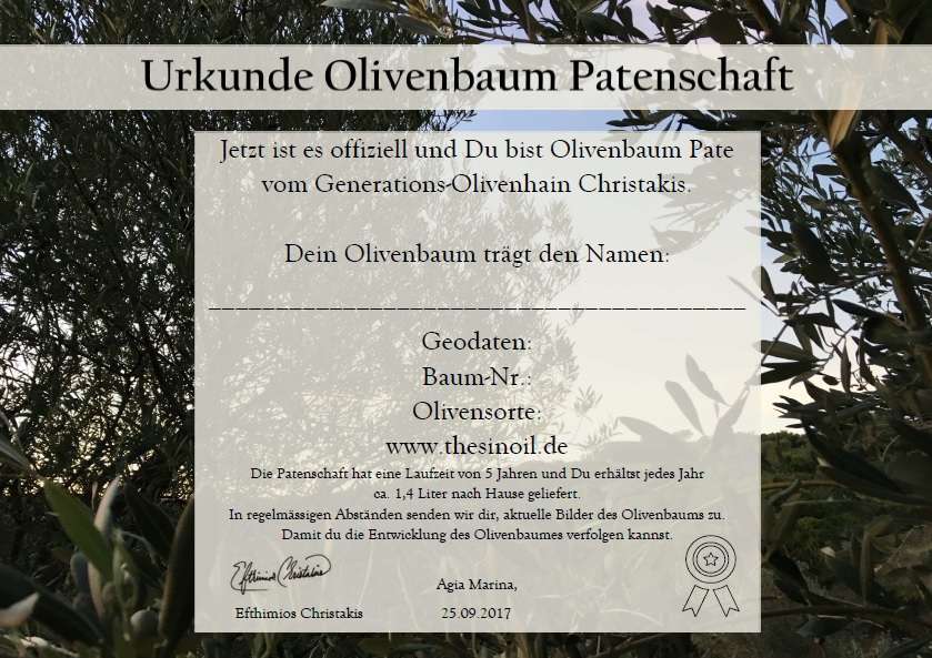 olivenbaum pflege garten Großer Olivenbaum, 100-110cm – Green Me Up